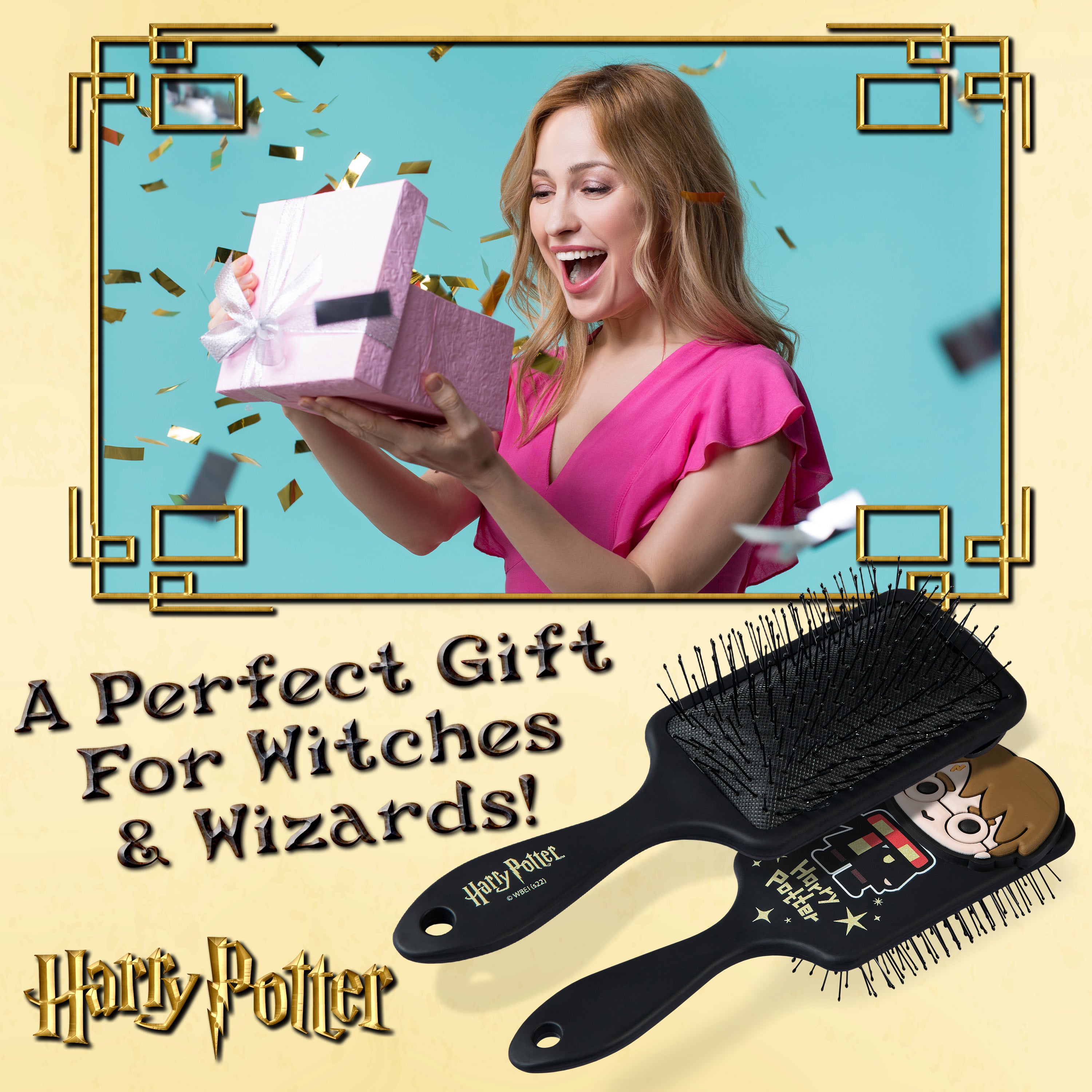 harry-potter-brosse-cheveux-d-m-lante-noire-tous-cheveux image 3