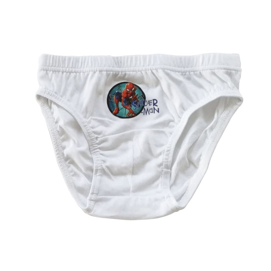 marvel-apparel-spiderman-slips-gar-on-coton-4-5-ans image 3