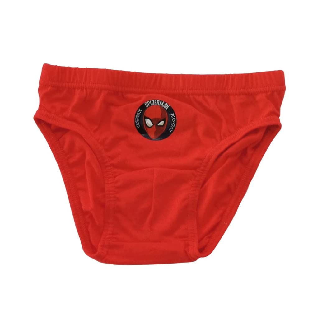 marvel-apparel-spiderman-slips-gar-on-coton-4-5-ans image 2