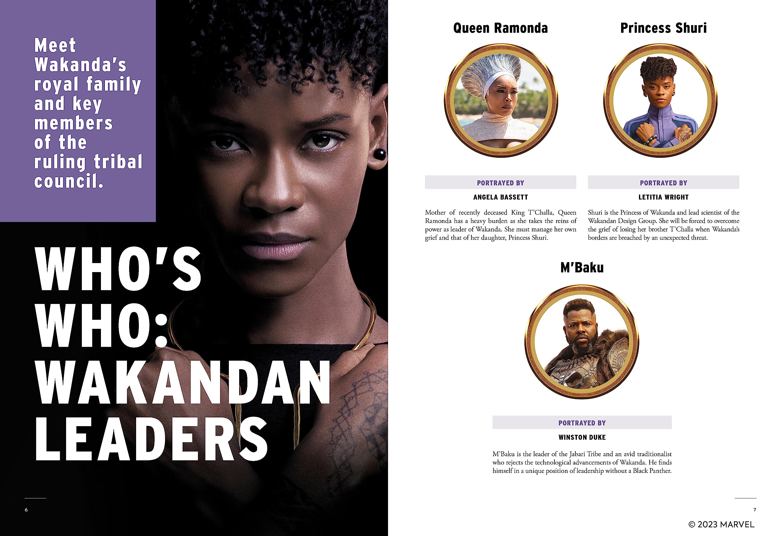 marvel-black-panther-wakanda-forever-livre-movie-special image 2