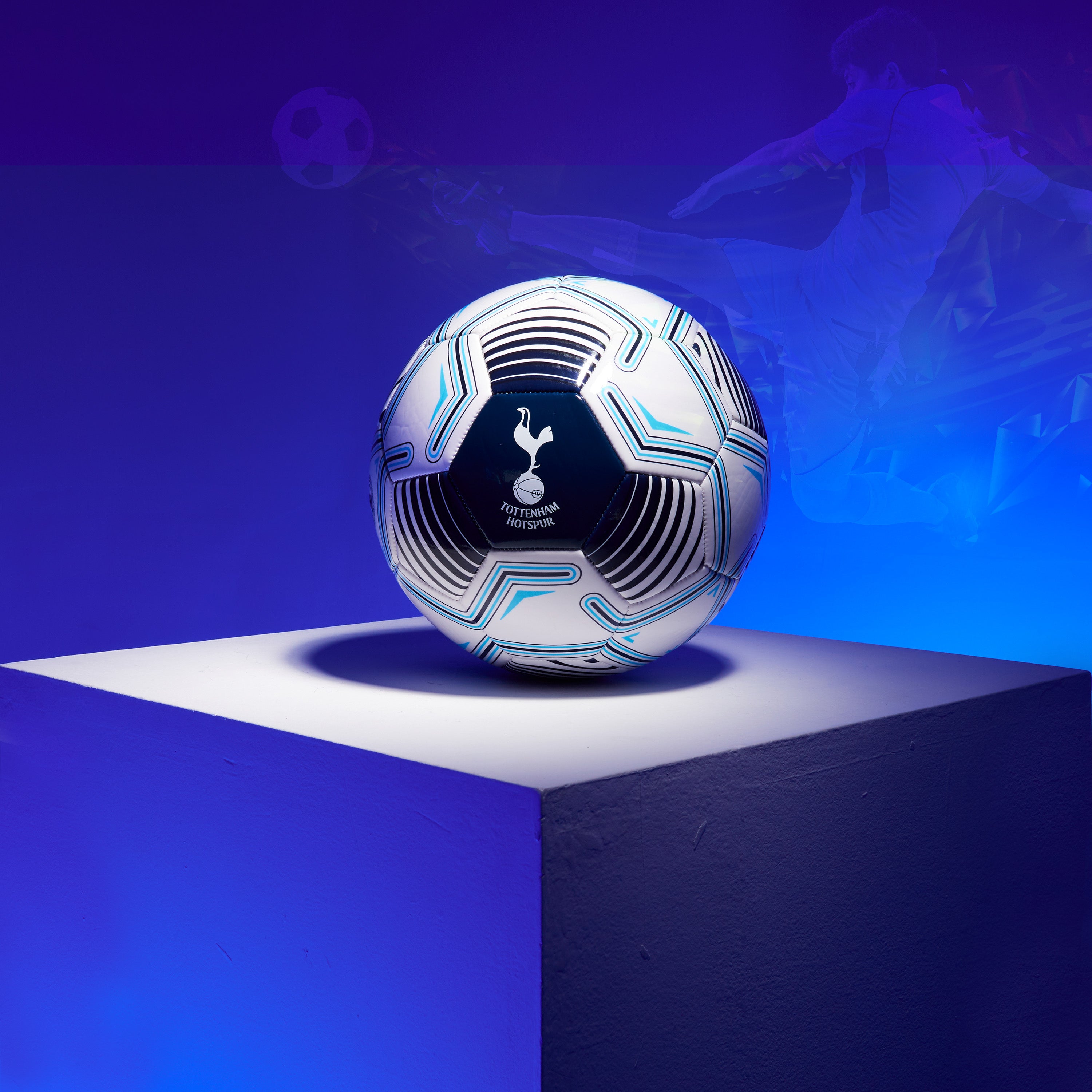 tottenham-hotspur-ballon-de-foot-taille-5-adulte-entra-nement image 2