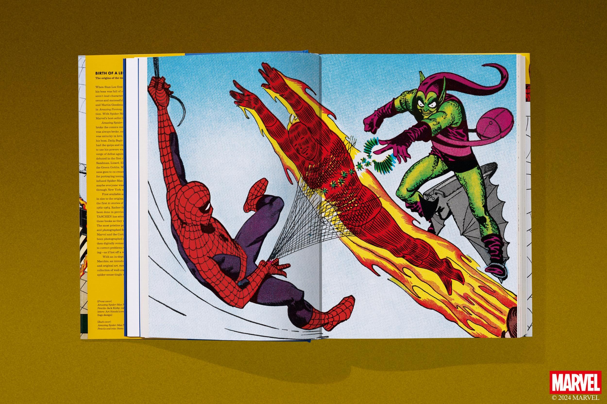 marvel-comics-library-spider-man-livre-1962-1964-stan-lee image 6