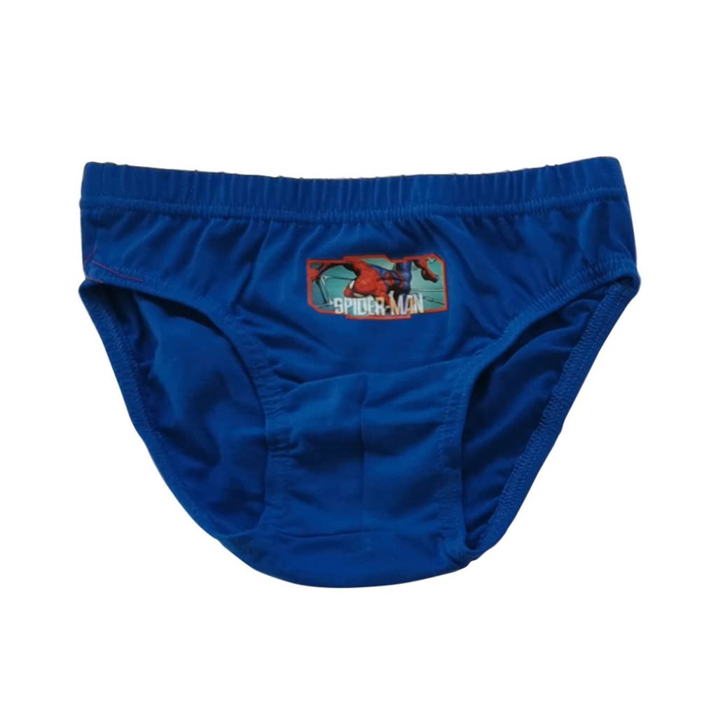 marvel-apparel-spiderman-slips-gar-on-coton-4-5-ans image 4