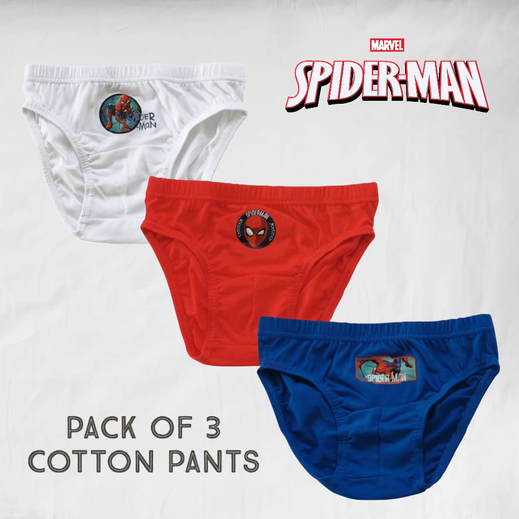 marvel-apparel-spiderman-slips-gar-on-coton-4-5-ans image 5