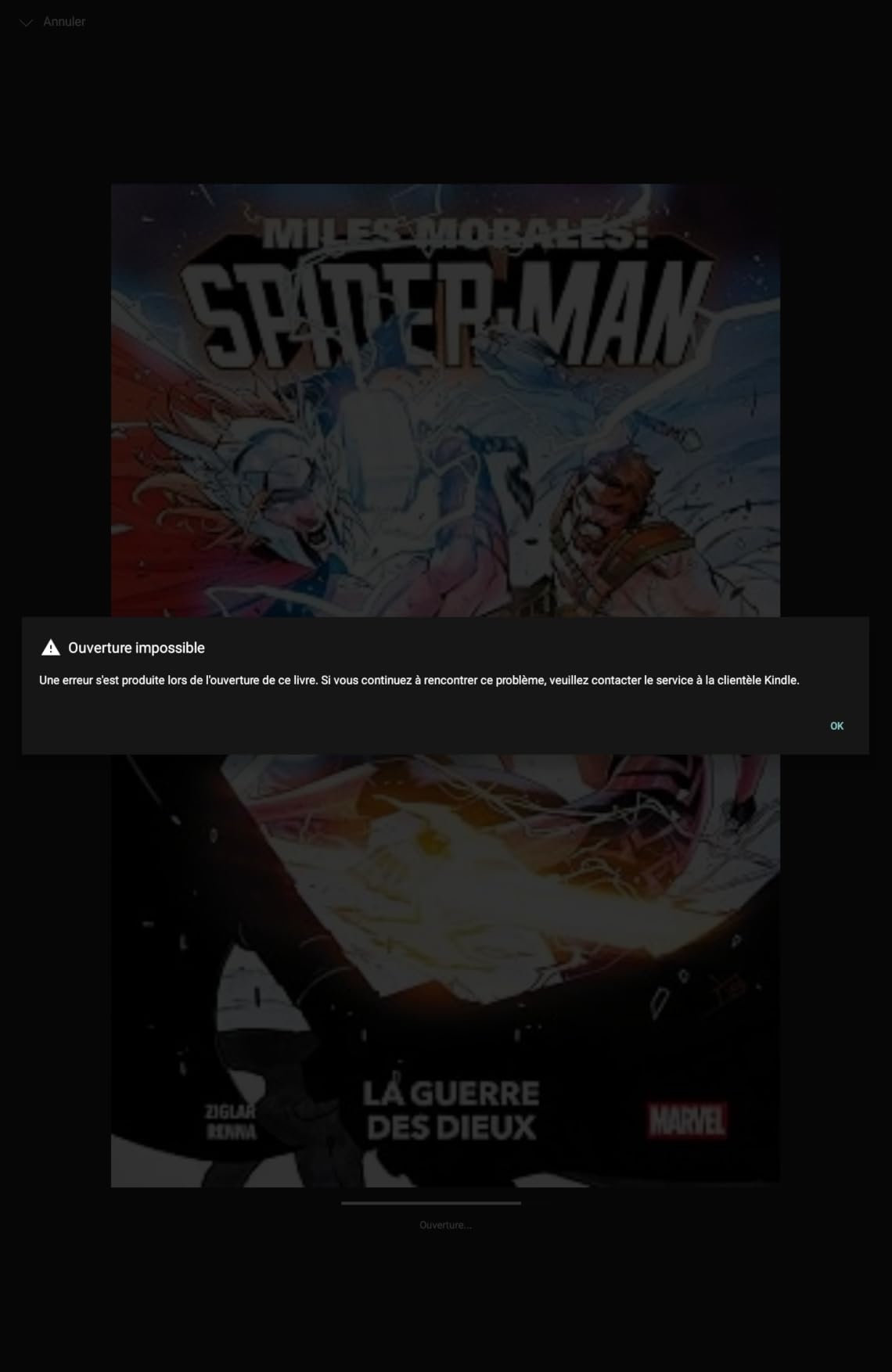 Dessins nets