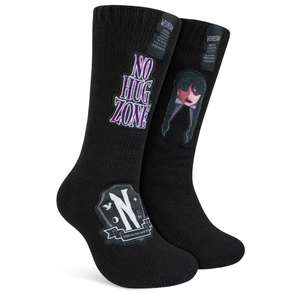 wednesday-chaussons-chaussettes-femme-pilou-taille-unique image 1