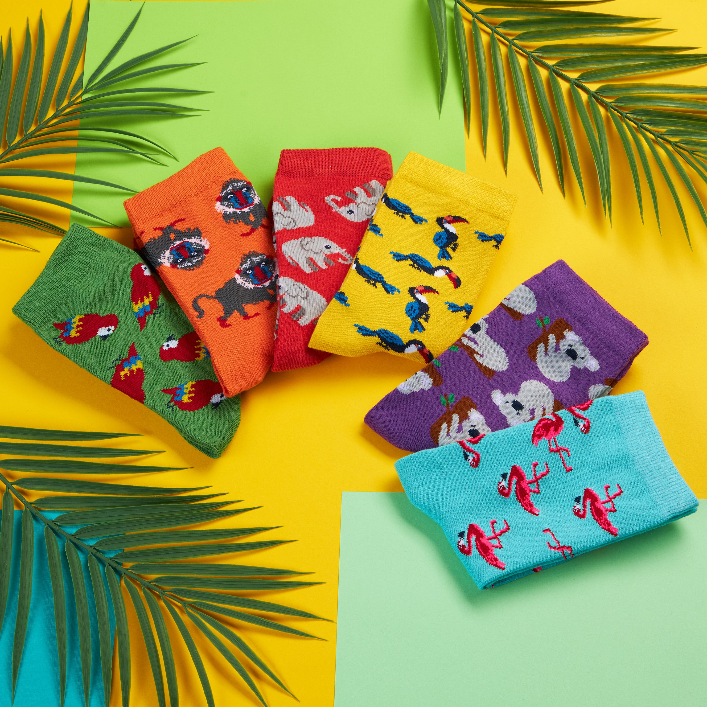 get-trend-citycomfort-chaussettes-femme-animaux-lot-6-coton image 2