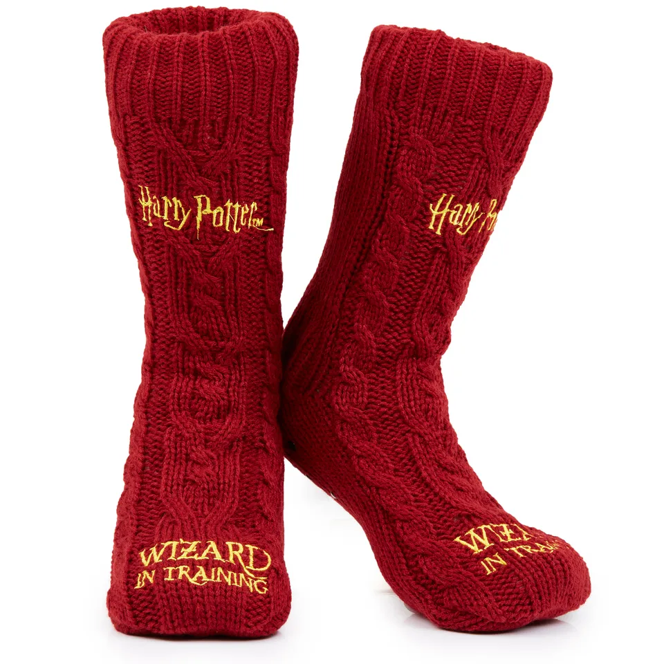 harry-potter-chaussettes-pilou-femme-antid-rapantes-douces image 1