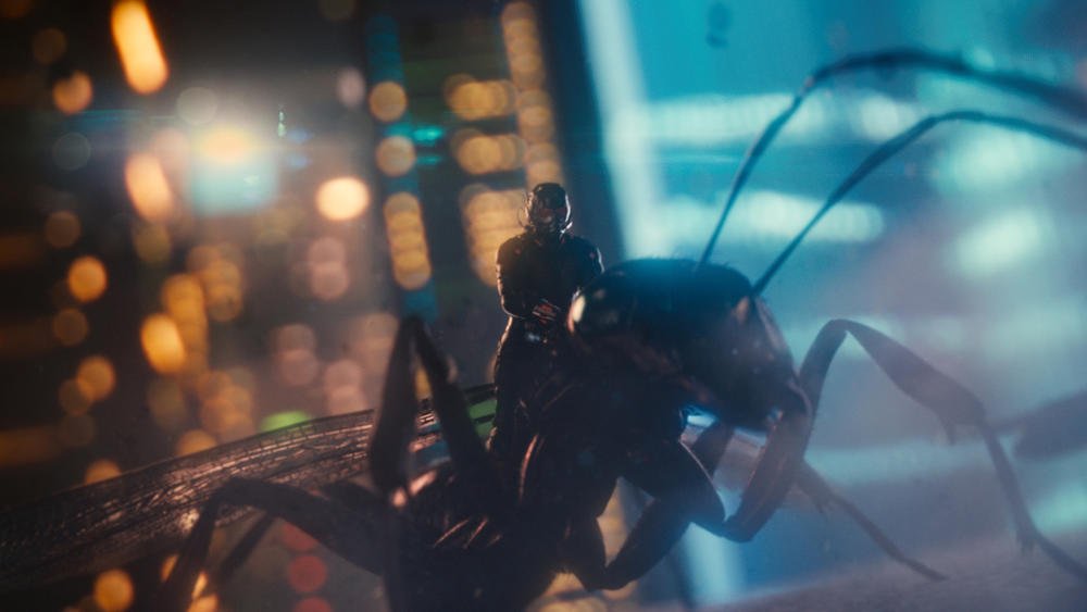 marvel-ant-man-film-dvd-vid-o image 6