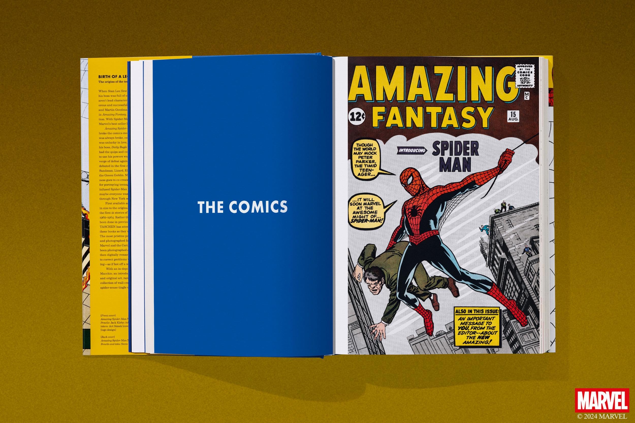 marvel-comics-library-spider-man-livre-1962-1964-stan-lee image 7