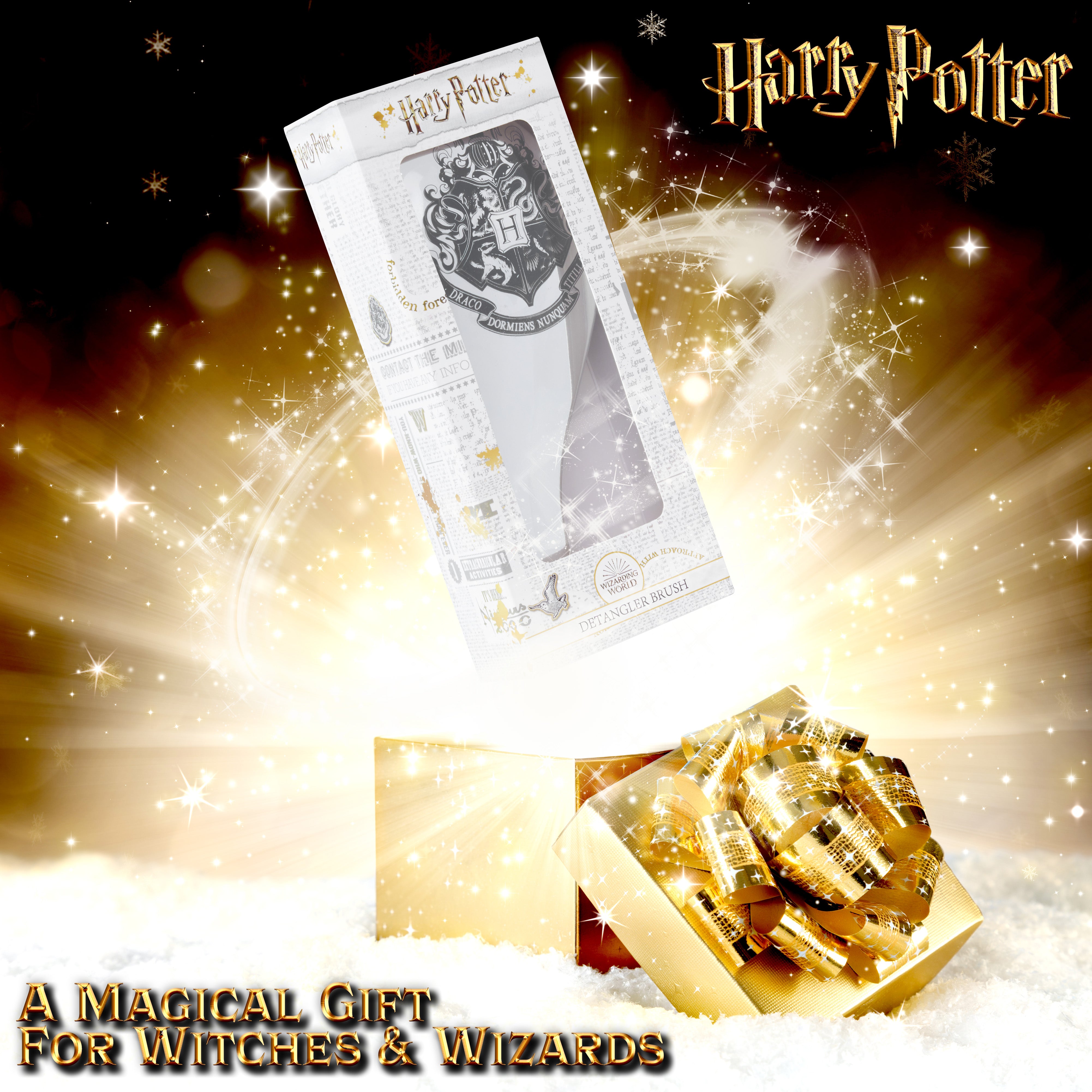 harry-potter-brosse-cheveux-d-m-lante-argent-e-fille image 2