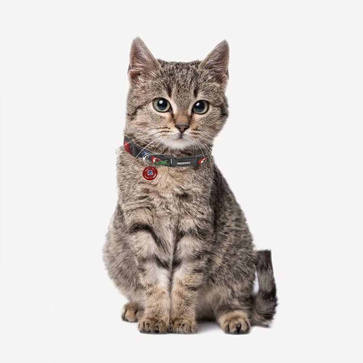 cerd-marvel-collier-chien-nylon-xxs-xs-r-glable image 3