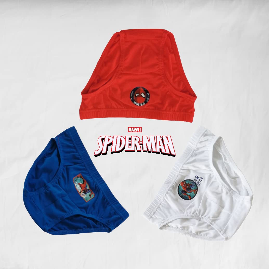 marvel-apparel-spiderman-slips-gar-on-coton-4-5-ans image 6
