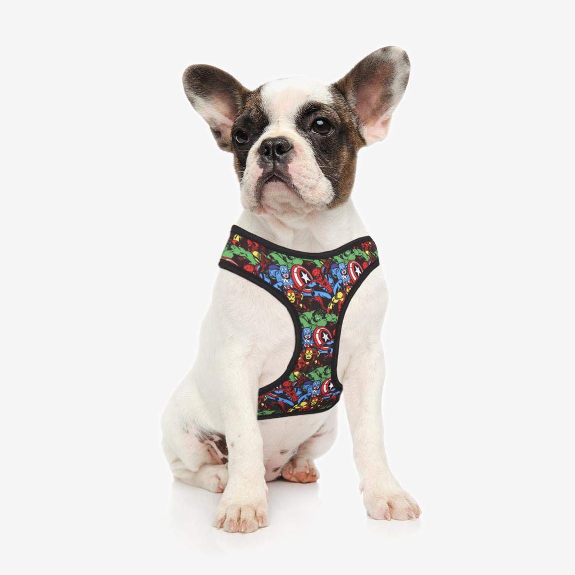 marvel-harnais-chien-et-chat-en-nylon-xs-s-sans-irritation image 3